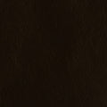 Leather material swatch
