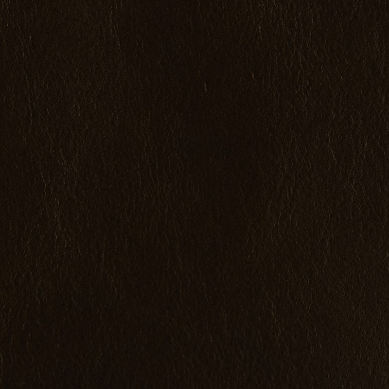 Leather material swatch