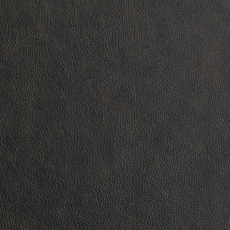 Leather material swatch