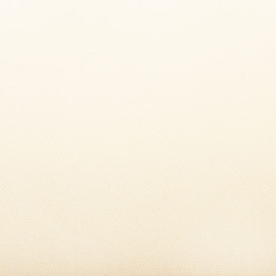Fabric material swatch