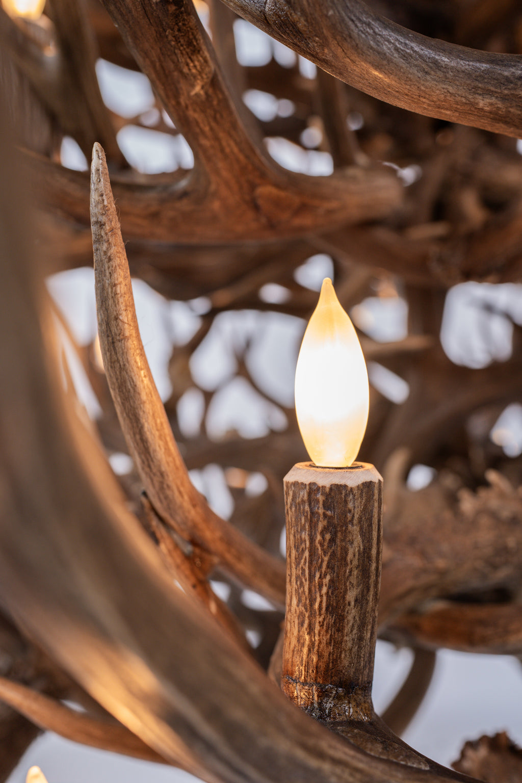 Nova Antler Chandelier Antler Chandelier