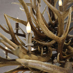 The Legacy Antler Chandelier Antler Chandelier
