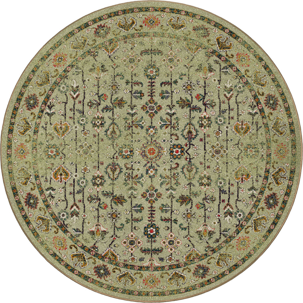 Image of an area rug, Let's Talk Persian - Olive