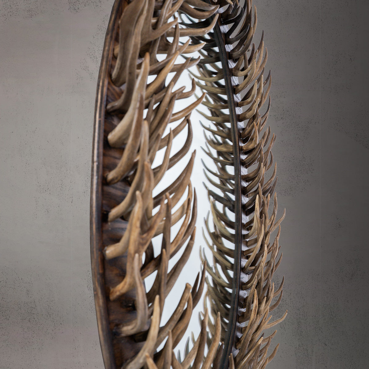 Oval Antler Fork Mirror Antler Accessories
