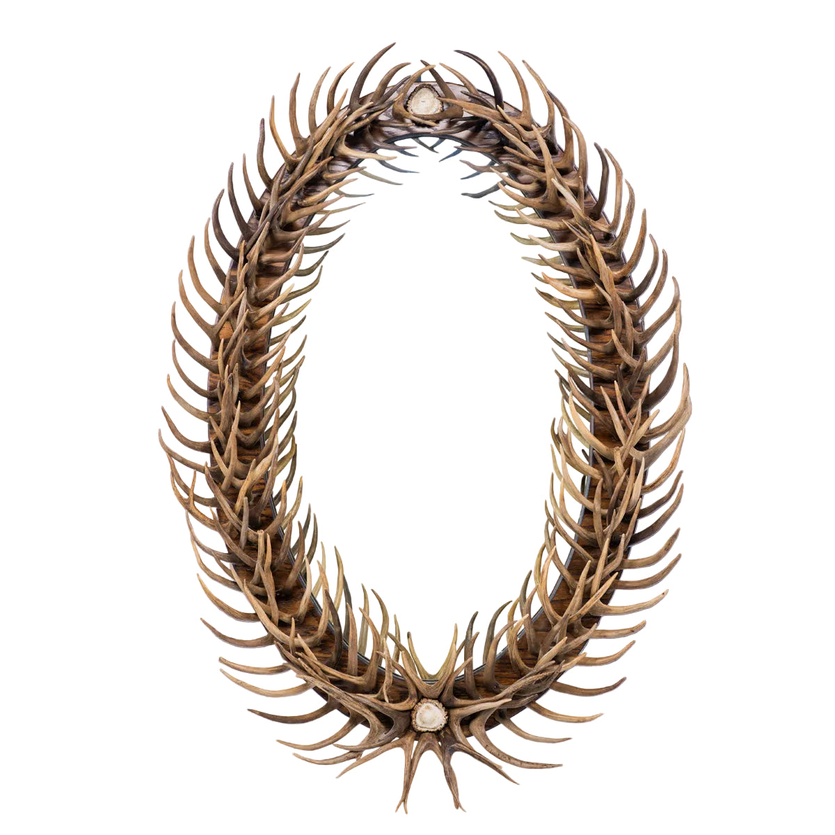 Oval Antler Fork Mirror Antler Accessories