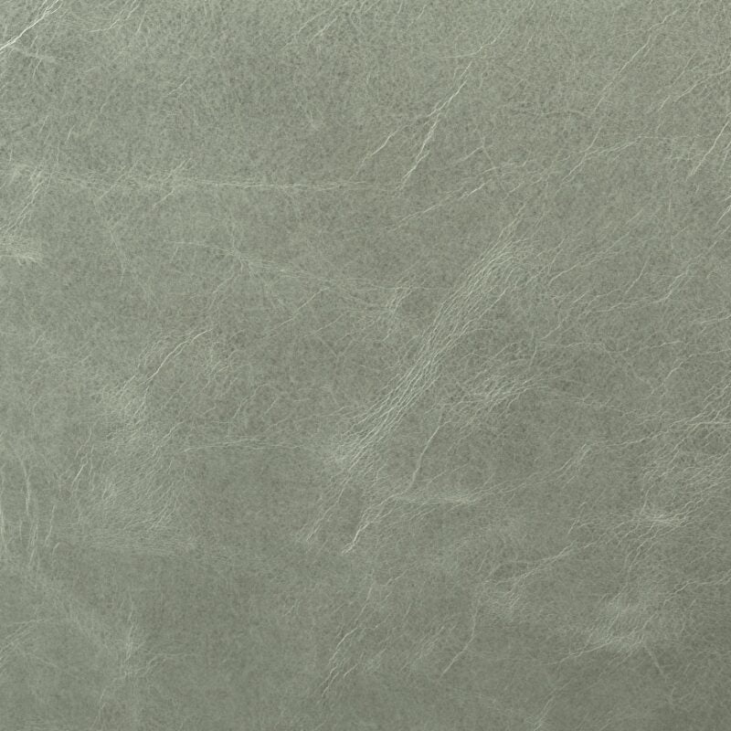 Leather material swatch