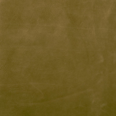 Leather material swatch