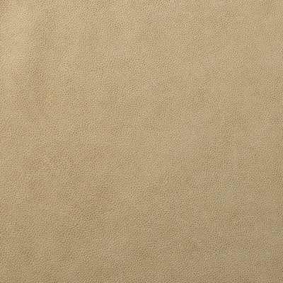 Leather material swatch
