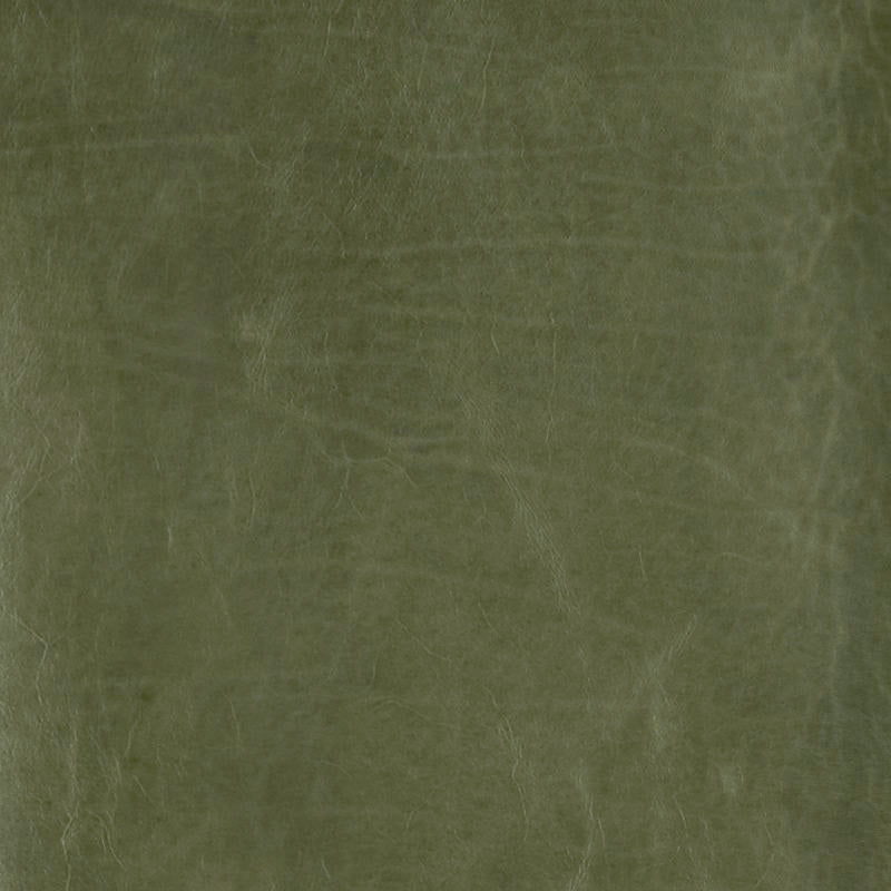 Leather material swatch