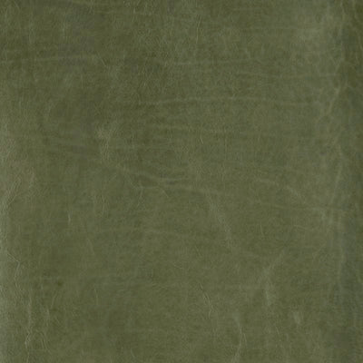 Leather material swatch