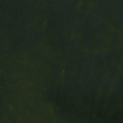 Leather material swatch