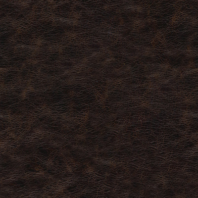 Leather material swatch