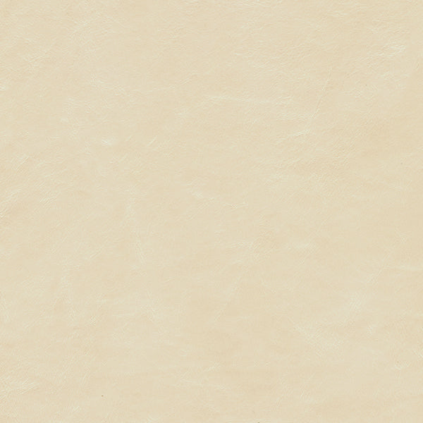 Leather material swatch