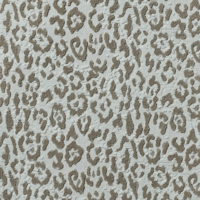 Fabric material swatch