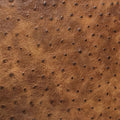 Exotic ostrich hide swatch
