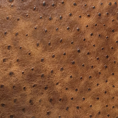 Exotic ostrich hide swatch
