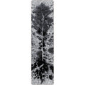 Image of an area rug, Pioneer Longhorn - Black And White