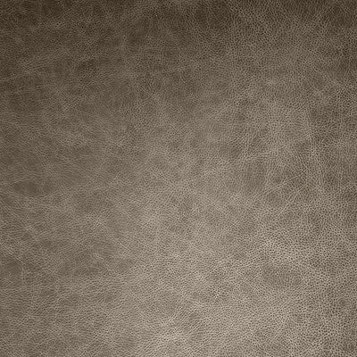 Flat leather material swatch