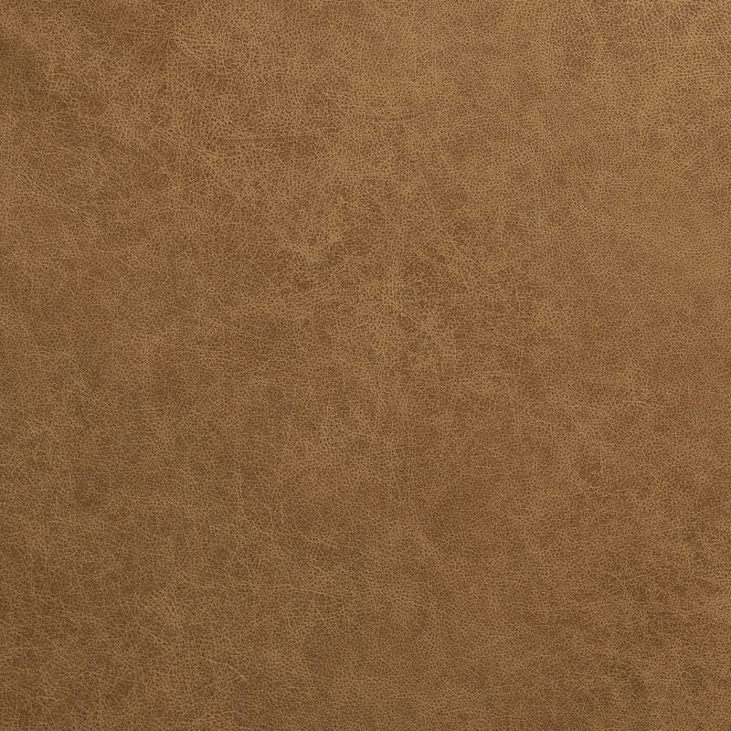 Leather material swatch