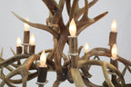 Oblong Inverted Mule Deer Antler Chandelier Antler Chandelier