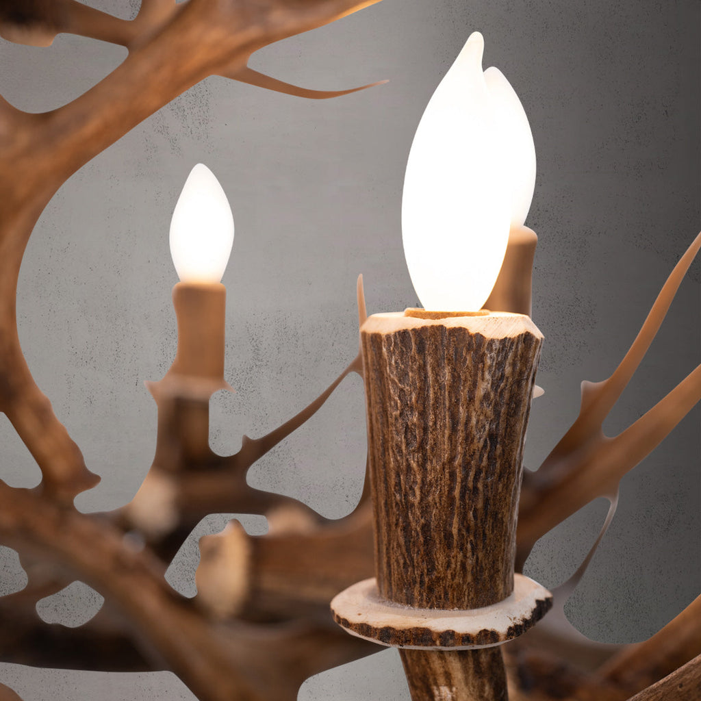 Cascade Mule Deer Antler Chandelier Antler Chandelier