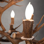 Cascade Mule Deer Antler Chandelier Antler Chandelier