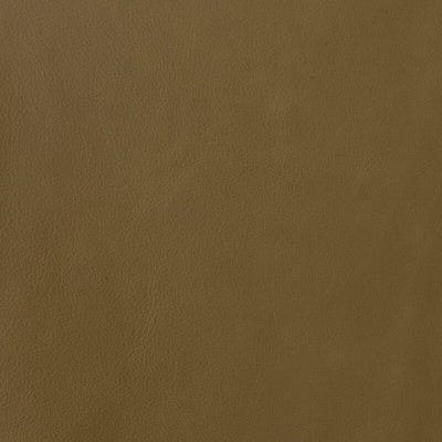 Leather material swatch