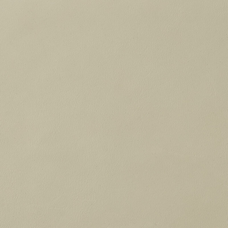 Leather material swatch