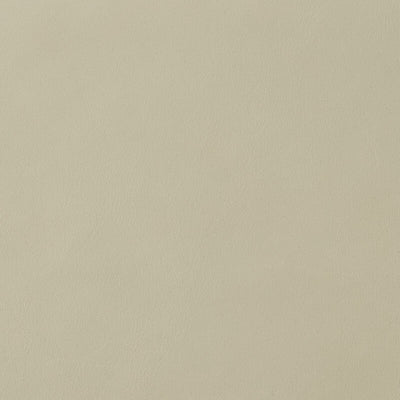 Leather material swatch
