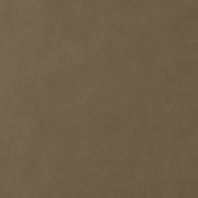 Leather material swatch