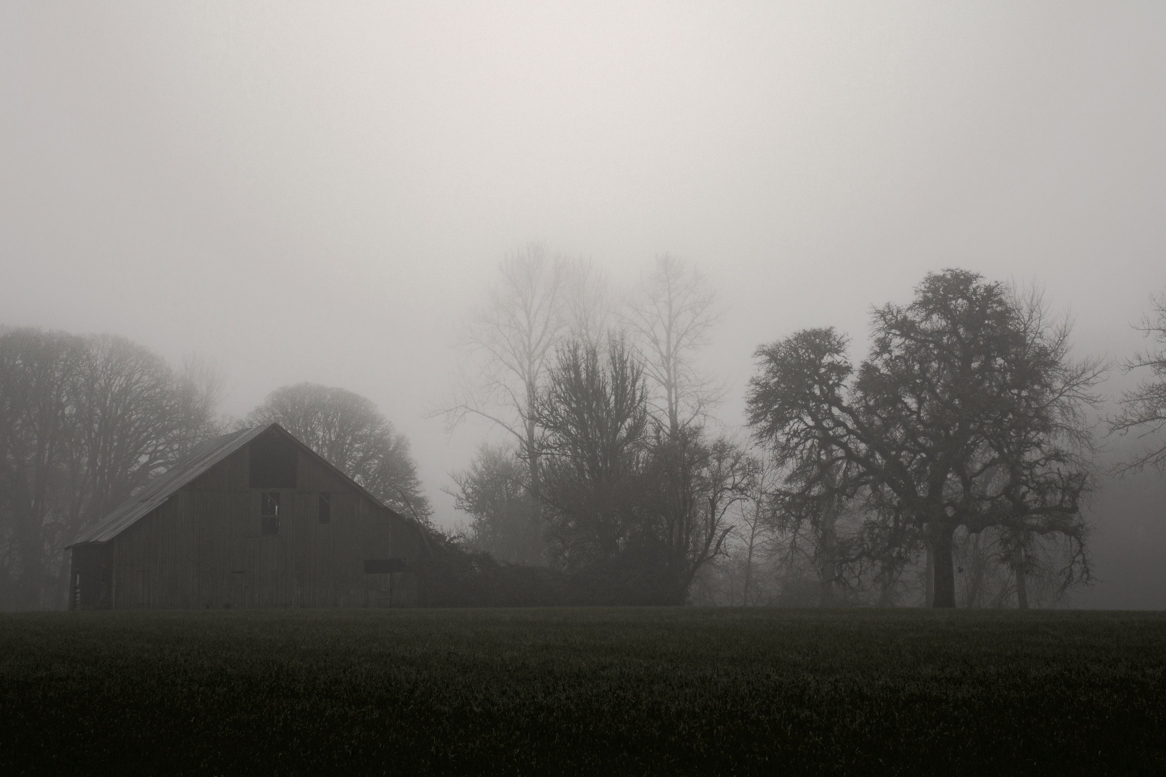 Overcast Day on the Farm 1 Wall Art