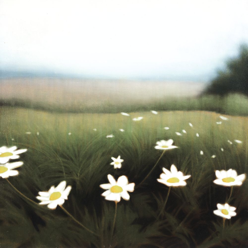 Wild Daisies 1 Wall Art