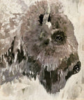 Bison Study 1