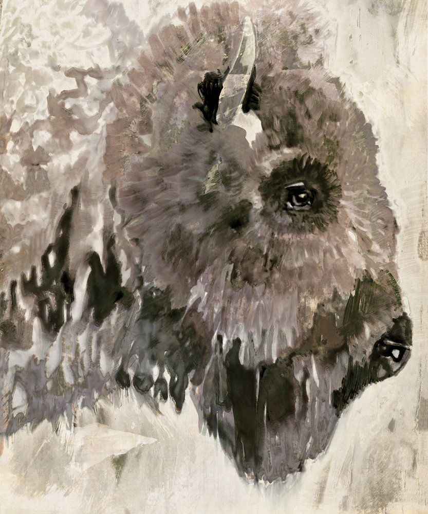 Bison Study 1