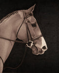 Mustang Muse 1 Wall Art