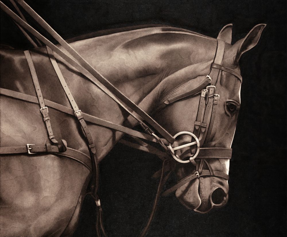 Northern Dancer 1 Wall Art