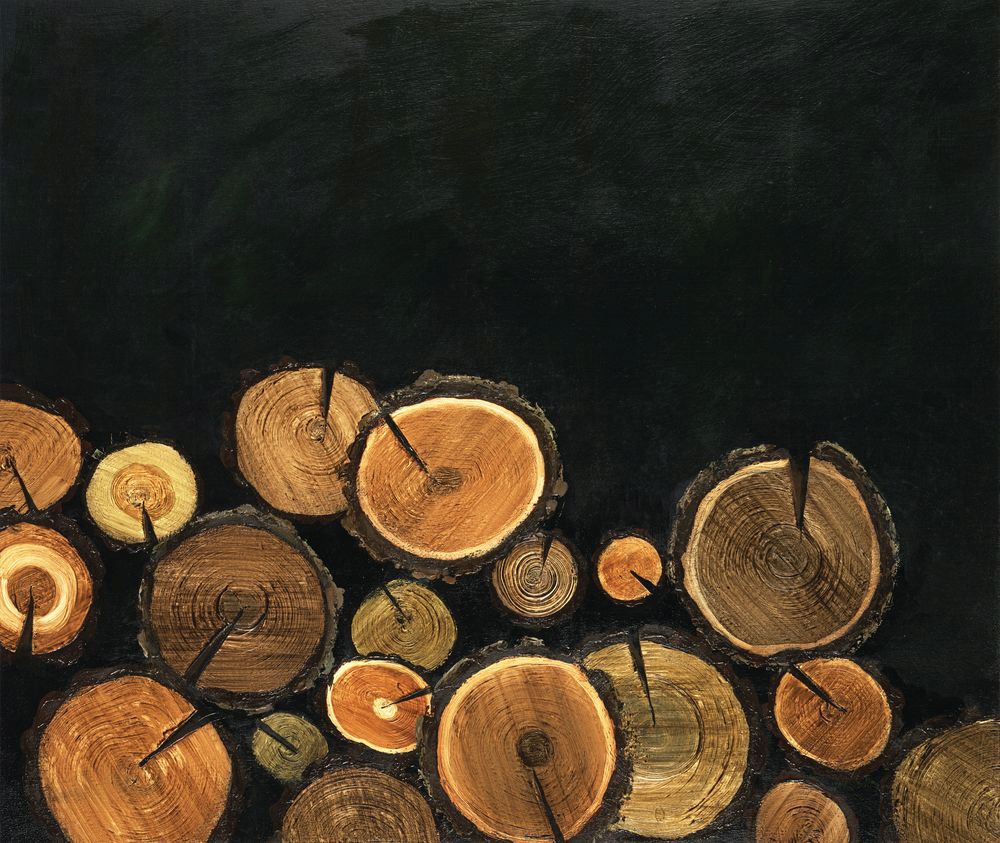 Splitting Wood 1