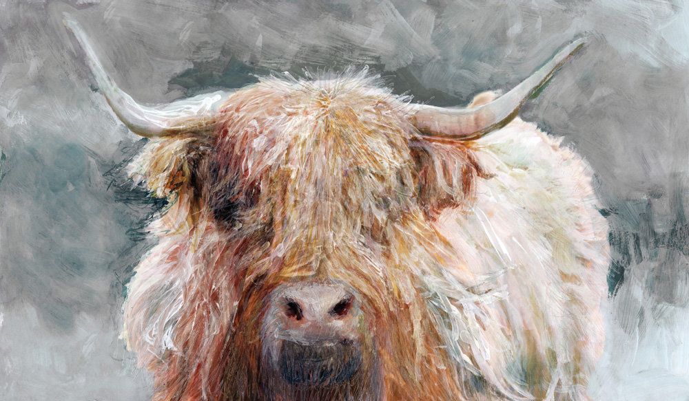 Study of a Longhorn 1