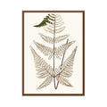 Elevated Undergrowth 4 Wall Art