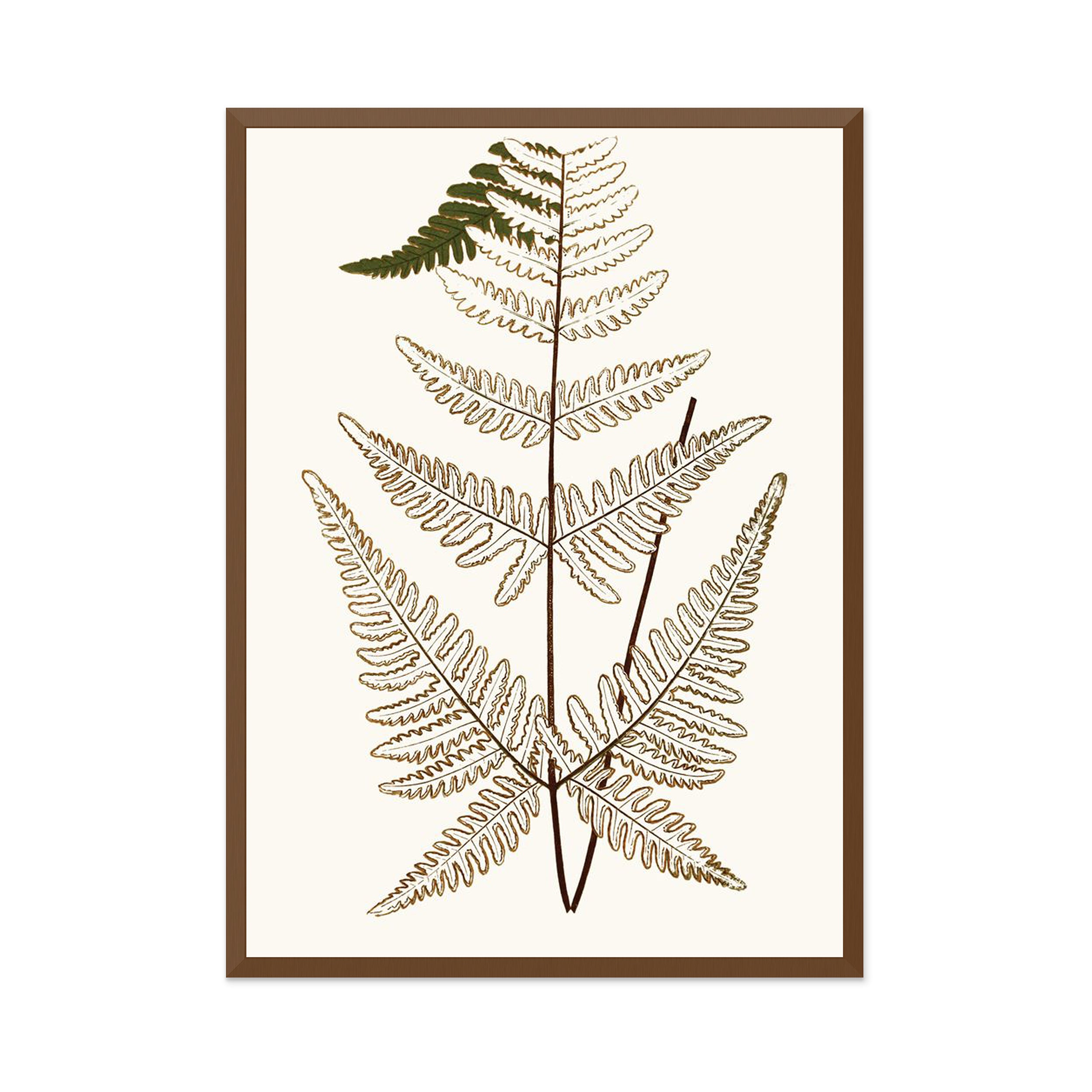 Elevated Undergrowth 4 Wall Art