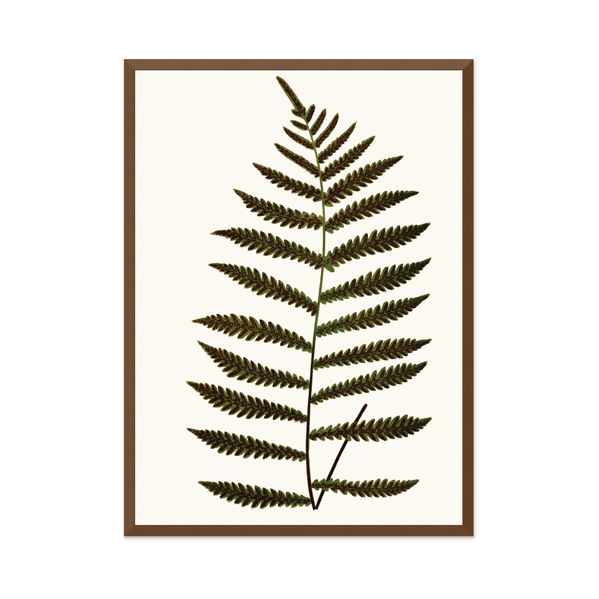 Elevated Undergrowth 5 Wall Art