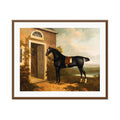 Riding Retreat 3 Wall Art