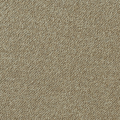 Fabric material swatch