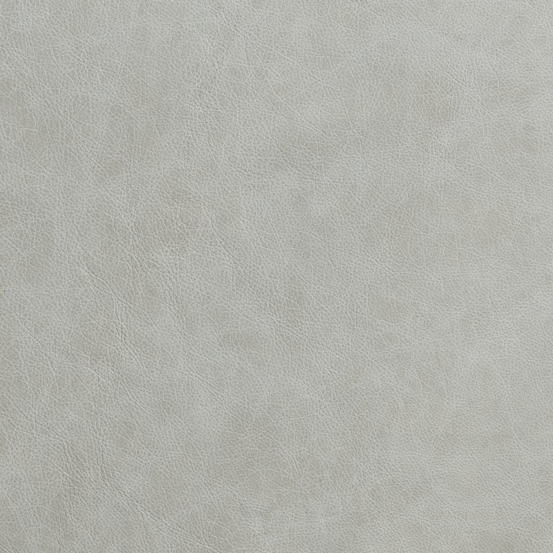 Leather material swatch