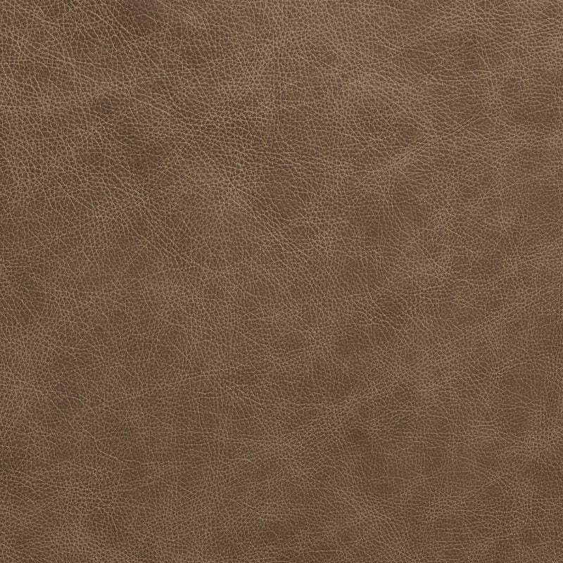 Leather material swatch