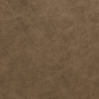 Leather material swatch