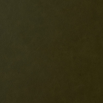 Leather material swatch