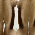 Exotic springbok hide swatch