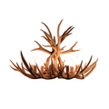8 Light Oval Mule Deer Antler Chandelier - The Roosevelt