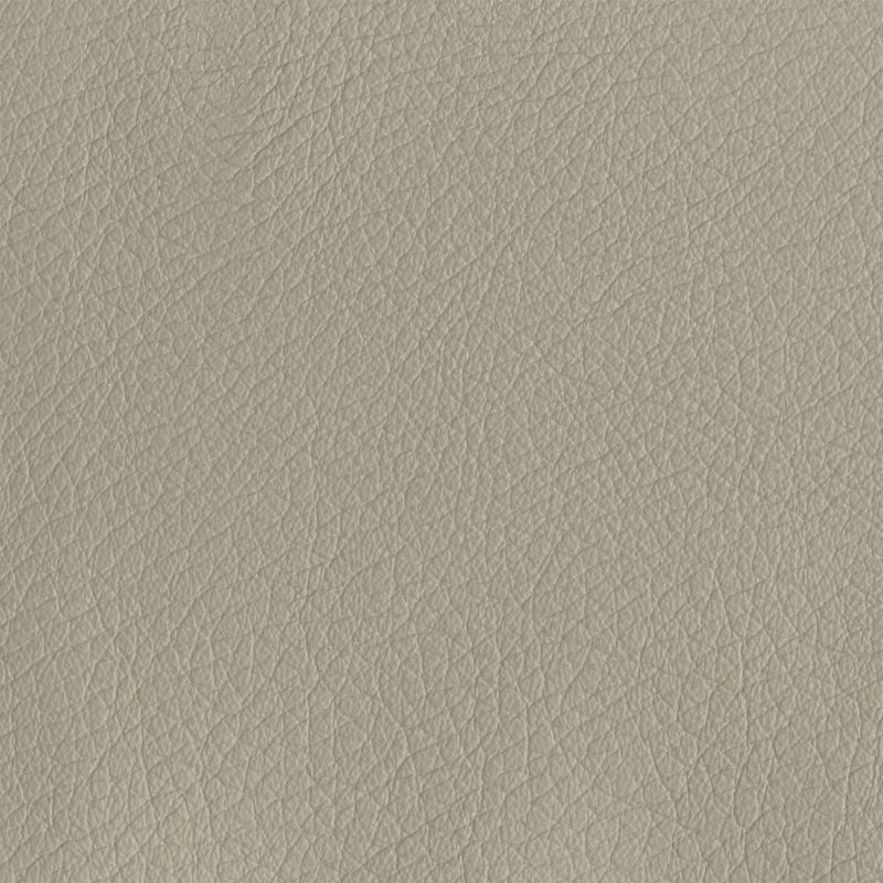 Leather material swatch